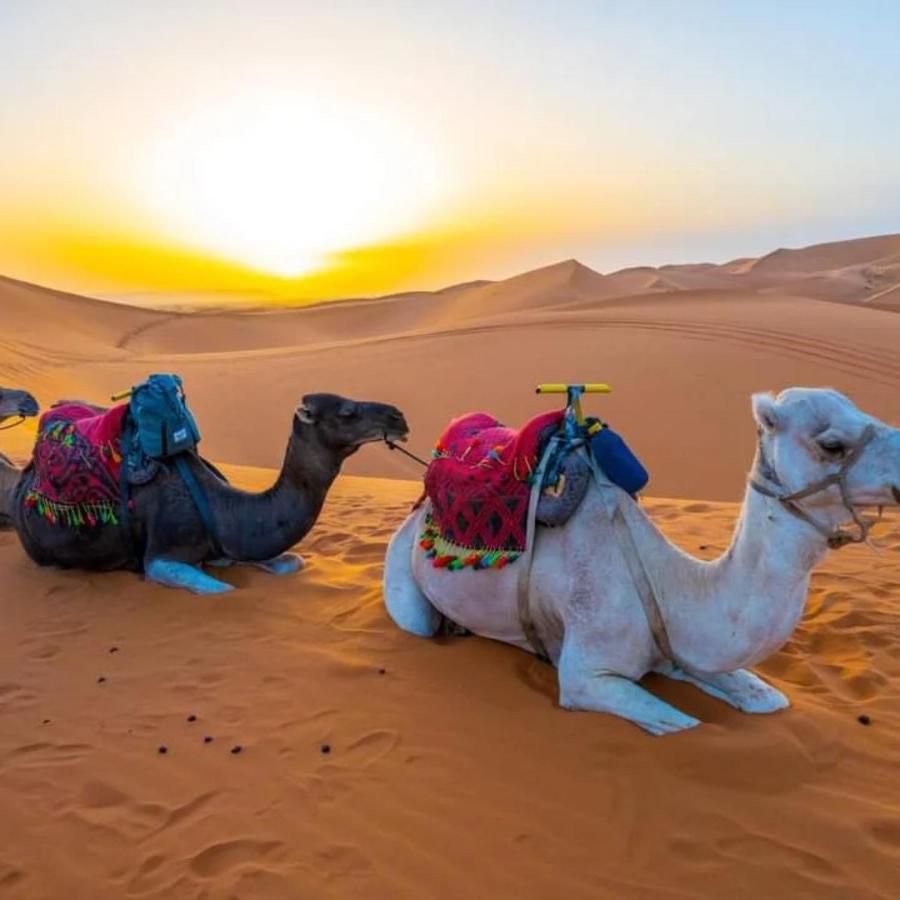 Merzouga Heart Camp Dış mekan fotoğraf